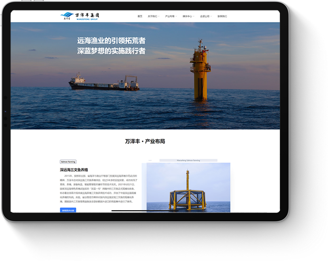 泰安网络公司